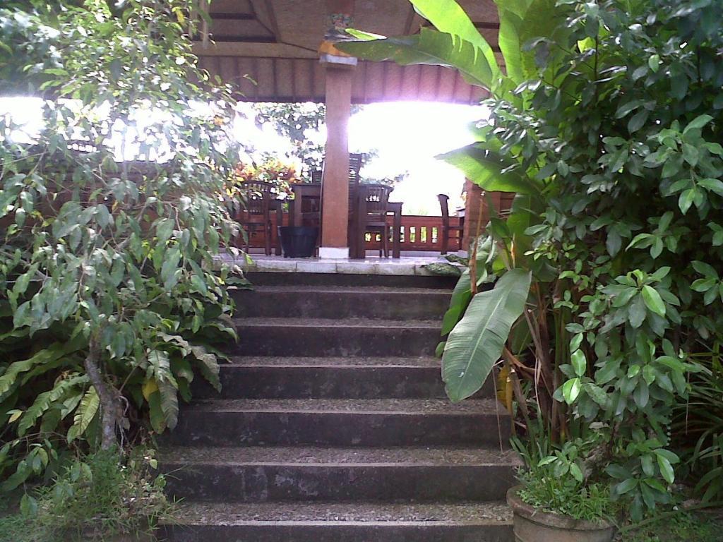 Arjana Bungalows 2 Ubud Exteriér fotografie