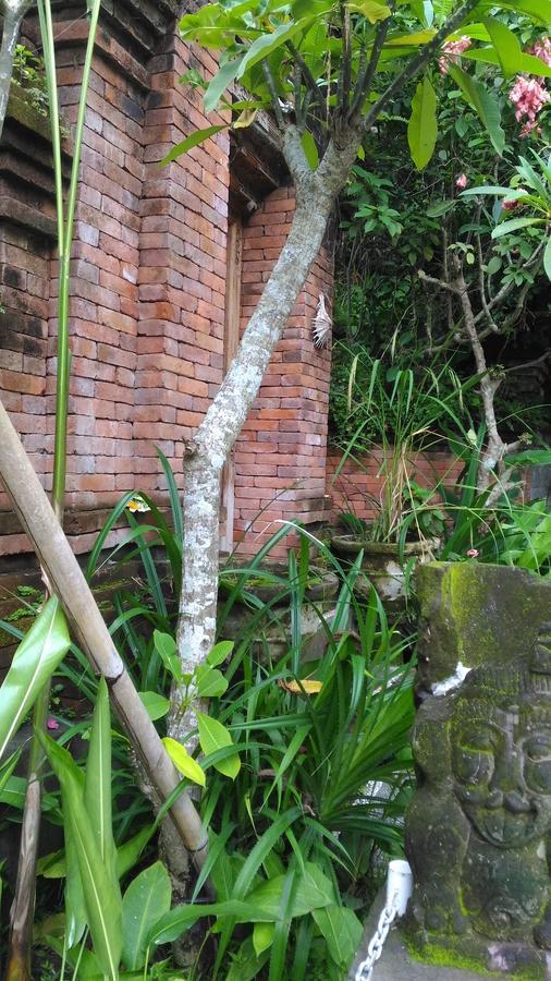 Arjana Bungalows 2 Ubud Exteriér fotografie